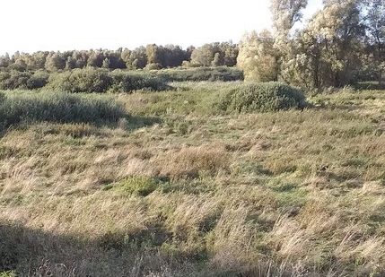 Grafika 28: Mała ojczyzna w obiektywie