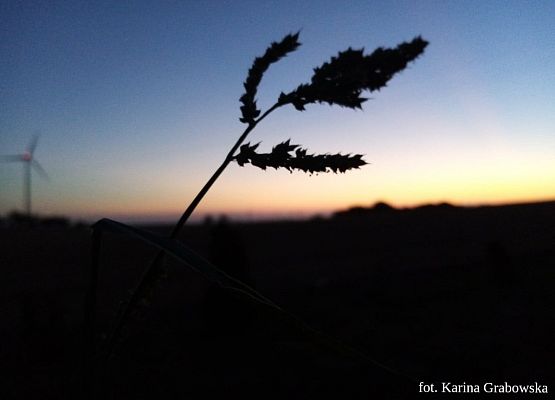 Grafika 24: Mała ojczyzna w obiektywie