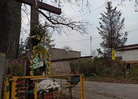 Grafika 1: Mała ojczyzna w obiektywie