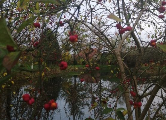 Grafika 18: Mała ojczyzna w obiektywie