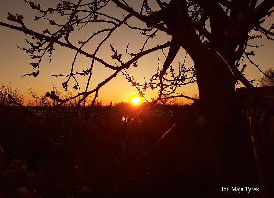 Grafika 15: Mała ojczyzna w obiektywie