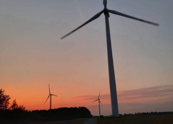 Grafika 6: Mała ojczyzna w obiektywie