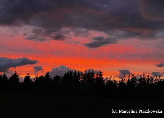 Grafika 5: Mała ojczyzna w obiektywie