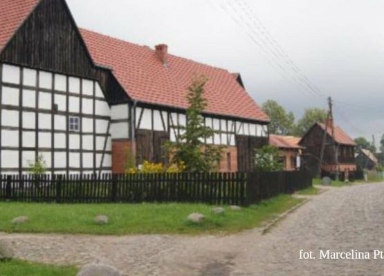 Grafika 4: Mała ojczyzna w obiektywie