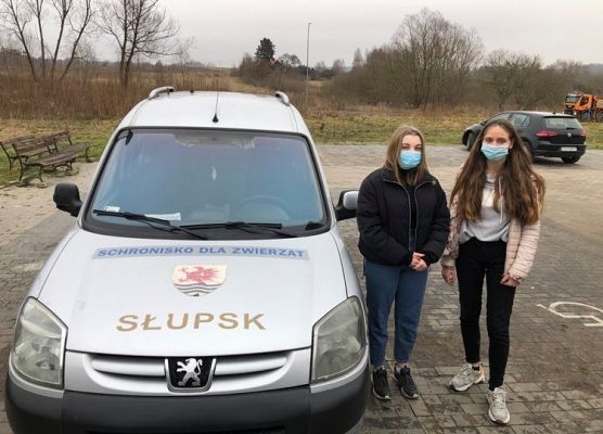 Grafika 3: Podziękowanie za udział w zbiórce dla psiaka i kociaka