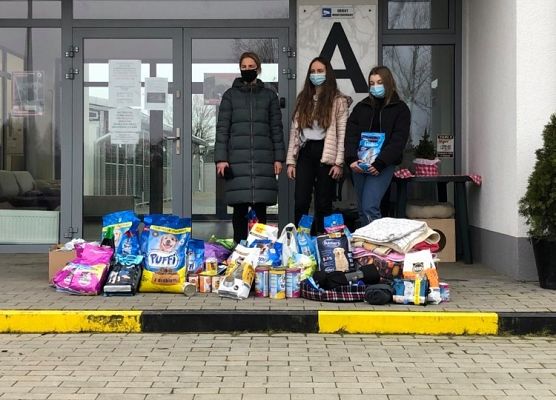 Grafika 4: Podziękowanie za udział w zbiórce dla psiaka i kociaka