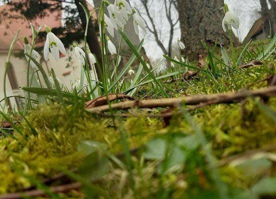 Grafika 6: Piękno uchwycone