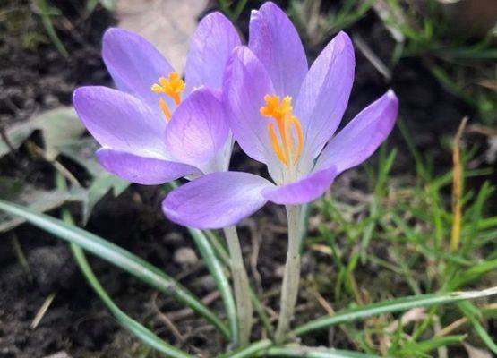 Grafika 7: Piękno uchwycone