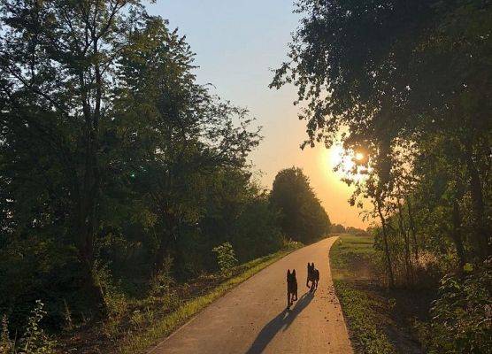 Grafika 1: Piękno uchwycone