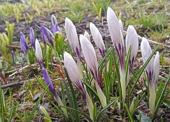 Grafika 2: Piękno uchwycone