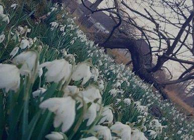 Grafika 3: Piękno uchwycone