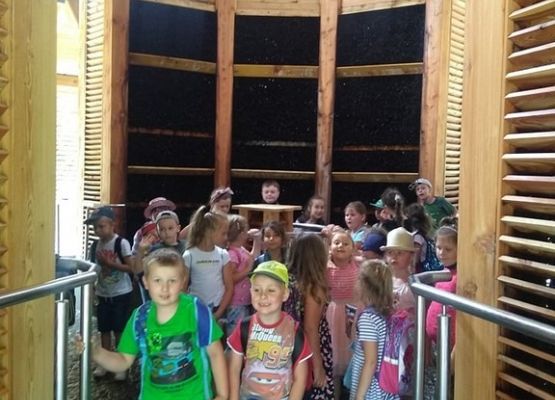 Grafika 7: Najmłodsi w Ustce