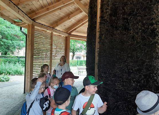 Grafika 12: Najmłodsi w Ustce