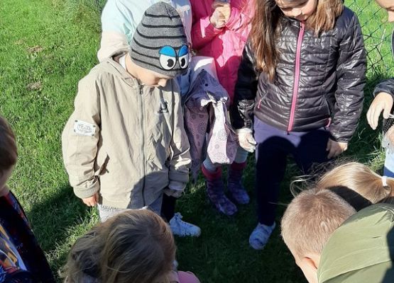 Grafika 10: Sprzątanie świata