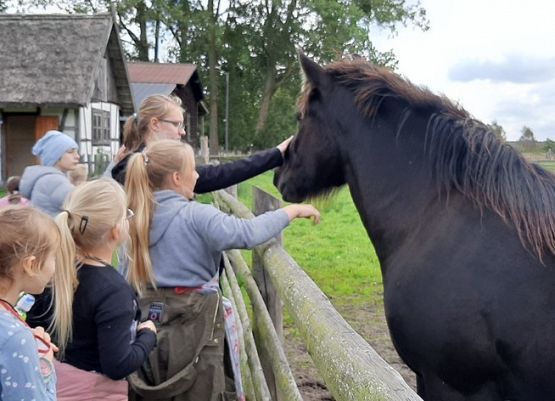 Grafika 9: Hej, przygodo!