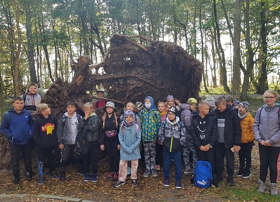 Grafika 1: W Słowińskim Parku Narodowym