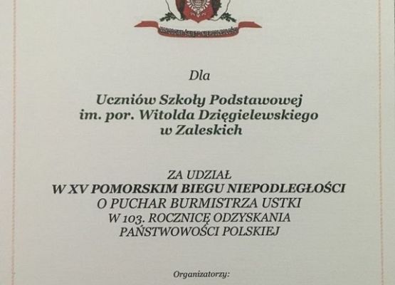 Grafika 4: XV Pomorski Bieg Niepodległości