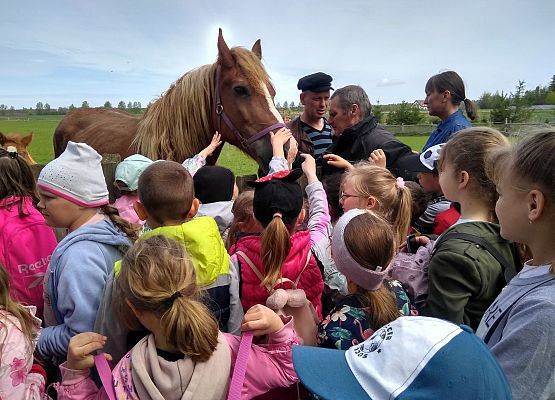 Grafika 6: Wycieczka w ramach projektu " Poznaj Polskę"