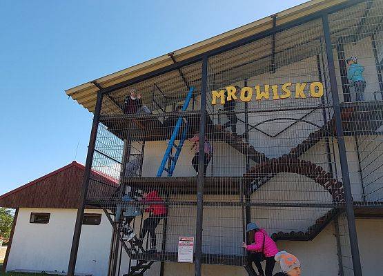 Grafika 5: W świecie kowbojów, Indian i beztroskiej zabawy