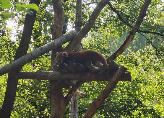 Grafika 11: Ósmoklasiści na wycieczce w Gdańsku