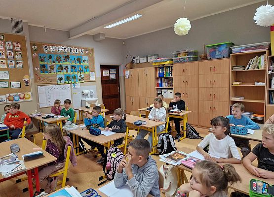 Grafika 3: Akcja ,,Pieszy w odblasku - koniecznie!"