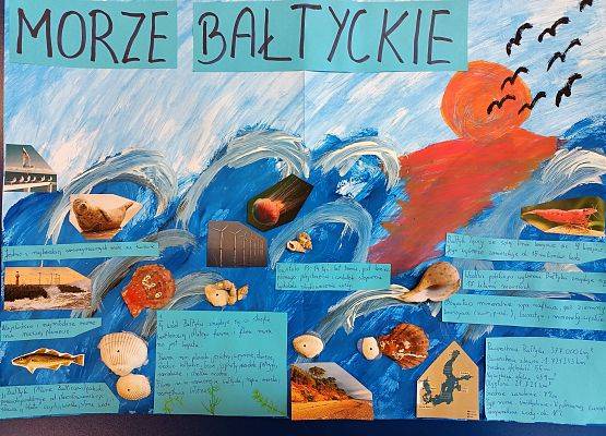 Grafika 3: Pomorskie Żagle Wiedzy - z biologią w tle