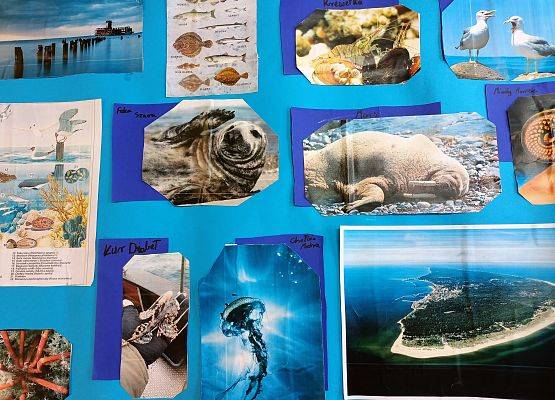 Grafika 2: Pomorskie Żagle Wiedzy - z biologią w tle