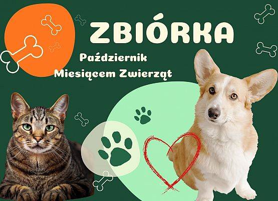 Grafika 1: Zbiórka na rzecz zwierząt!