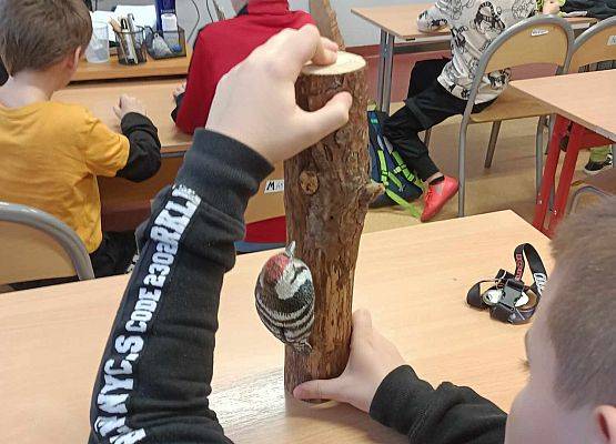 Grafika 3: Poznajemy Słowiński Park Narodowy