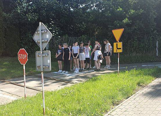 Grafika 3: Egzamin na kartę rowerową