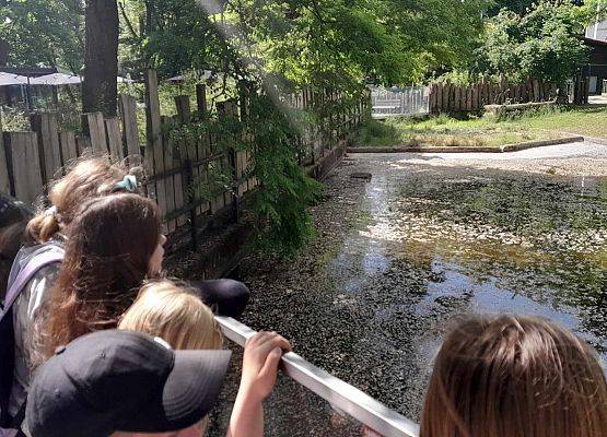 Grafika 1: Piątoklasiści na wycieczce w Trójmieście