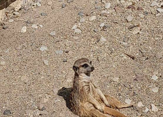 Grafika 5: Piątoklasiści na wycieczce w Trójmieście