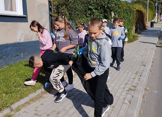 Grafika 2: 31. Akcja Sprzątania Świata