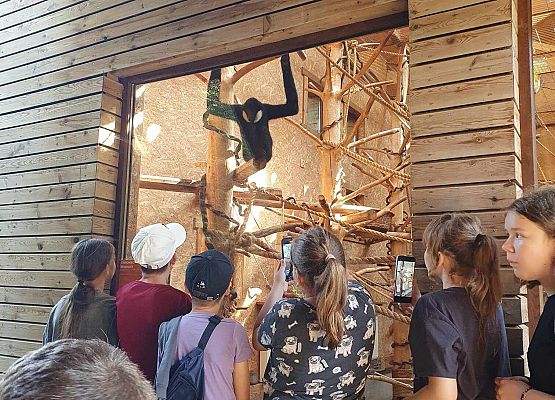 Grafika 7: Wycieczka do ZOO w Gdańsku Oliwie