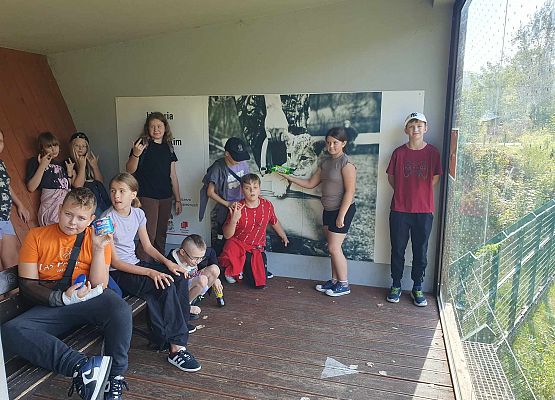 Grafika 5: Wycieczka do ZOO w Gdańsku Oliwie