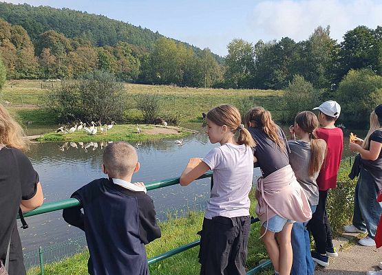 Grafika 3: Wycieczka do ZOO w Gdańsku Oliwie