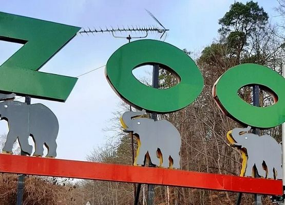 Grafika 8: Wycieczka do ZOO w Gdańsku Oliwie