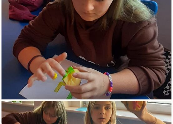 Grafika 3: Stemple z ziemniaków