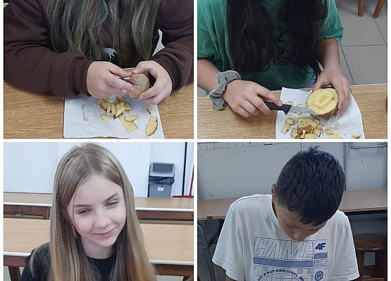 Grafika 4: Stemple z ziemniaków