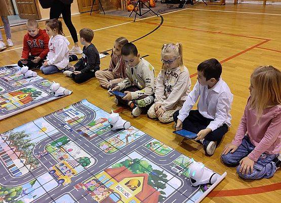 Grafika 1: Program edukacyjny ,,Akademia Programistów - Roboty Segregują Odpady"