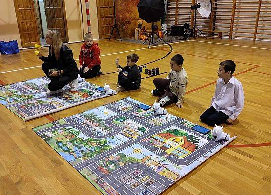 Grafika 3: Program edukacyjny ,,Akademia Programistów - Roboty Segregują Odpady"