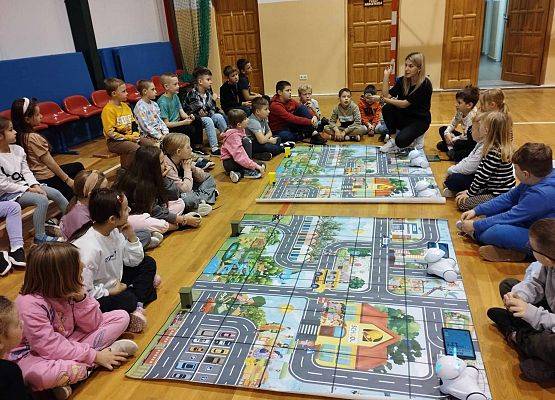 Grafika 8: Program edukacyjny ,,Akademia Programistów - Roboty Segregują Odpady"