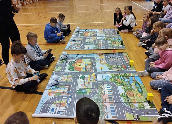 Grafika 7: Program edukacyjny ,,Akademia Programistów - Roboty Segregują Odpady"