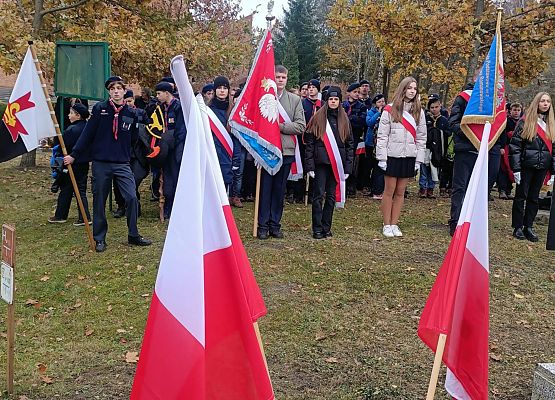 Grafika 2: Obchody Narodowego Święta Niepodległości w Ustce z udziałem delegacji ze Szkoły Podstawowej w Zaleskich