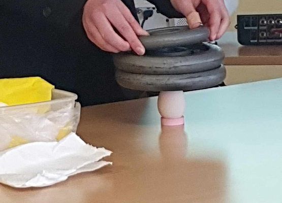 Grafika 3: Powiatowy konkurs „Doświadczenia pokazowe z fizyki”