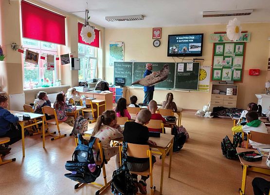 Grafika 7: Spotkanie z wolontariuszem ,,Błękitnego Patrolu WWF"