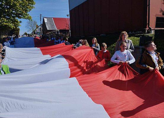 Grafika 9: Święto Flagi i Święto Konstytucji 3 Maja