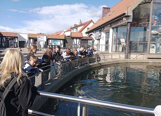 Grafika 10: Wycieczka klas VI i VII na Hel