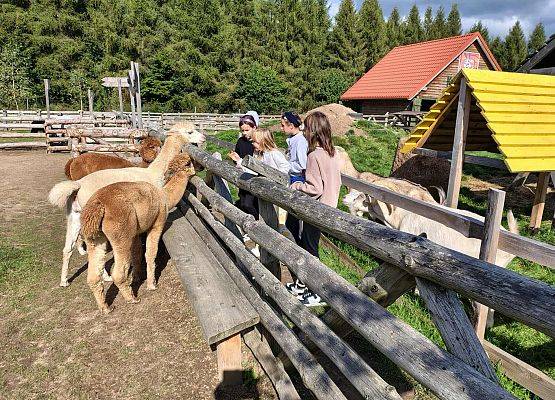Grafika 26: Wycieczka na Farmę Alexa w Charbrowie koło Łeby