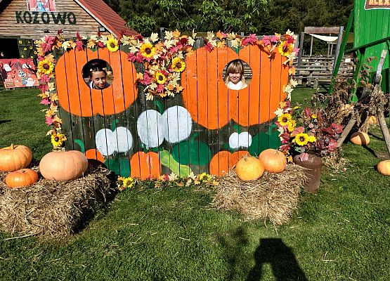 Grafika 27: Wycieczka na Farmę Alexa w Charbrowie koło Łeby